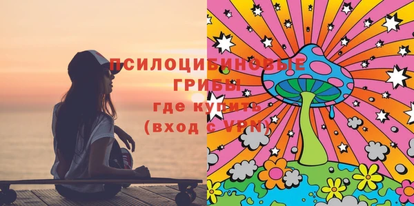 дмт Нефтегорск